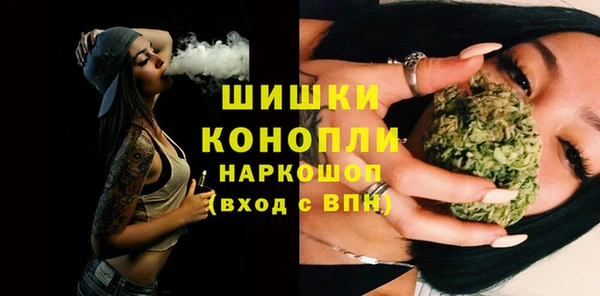 дживик Пересвет
