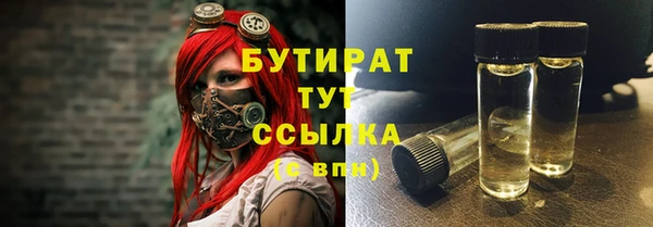 индика Пестово
