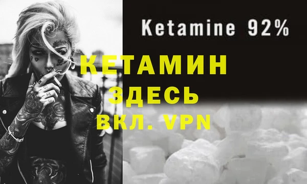 дживик Пересвет