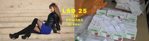 дживик Пересвет