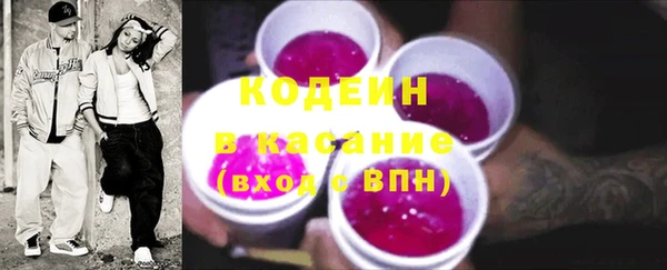 индика Пестово