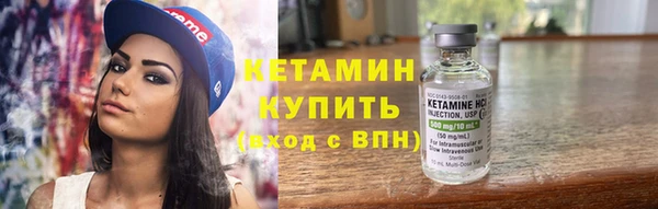 индика Пестово