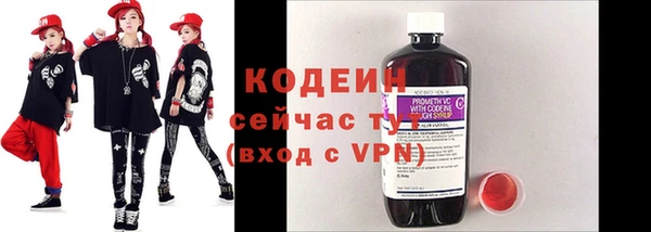индика Пестово