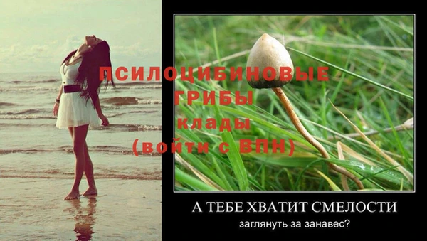 индика Пестово