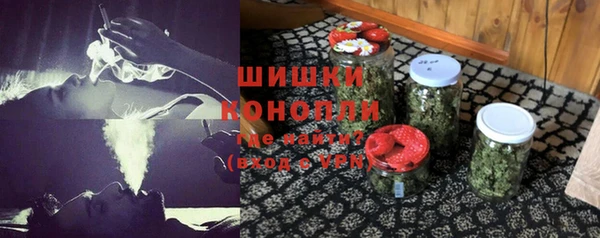 дживик Пересвет