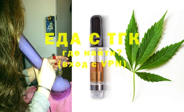индика Пестово