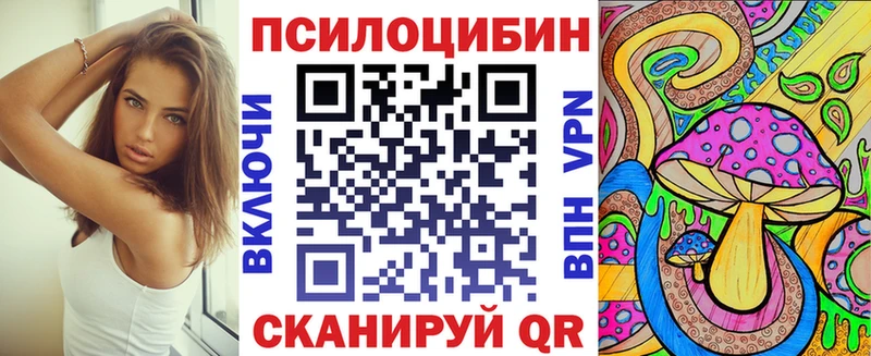 Псилоцибиновые грибы MAGIC MUSHROOMS  где купить наркотик  ОМГ ОМГ ссылка  Александровск-Сахалинский 